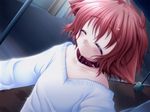  animal_ears blush child collar dog_ears fang game_cg happy hinata_(pure_pure) outdoors pure_pure red_hair sakurazawa_izumi short_hair solo sweater 