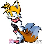  amuzoreh anthro blue_eyes canine crossdressing drag fox male mammal miles_prower shy solo sonic_(series) 