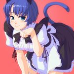  animal_ears ano_natsu_de_matteru bent_over blue_eyes blue_hair cat_ears cat_tail frills looking_at_viewer maid paw_pose short_hair shunkaku solo tail tanigawa_kanna thighhighs white_legwear 