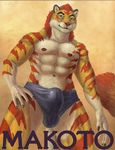  2015 anthro brown_background bulge claws clothed clothing english_text feline fur green_eyes hair looking_at_viewer makoto male mammal navel nipples orange_fur red_fur red_hair red_nose simple_background smile spectrumshift speedo stripes swimsuit text tiger topless white_fur 