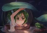  bucket dao_sui_de_jiemo eyebrows frog green_eyes green_hair hair_bobbles hair_ornament kisume lily_pad long_sleeves multicolored_hair pout reflection rock see-through shiny shiny_hair short_hair solo thick_eyebrows touhou water well wet wooden_bucket 