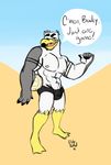  anthro avian ayden_(brogulls) bird bulge clothing duly_noted male muscular seagull solo speedo swimsuit 