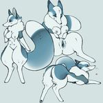  &lt;3 anthro blue_fur blush breasts butt canine female fox fur japanda mammal multi_nipple nipples nude pussy solo white_fur 