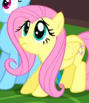  blue_eyes earth_pony equine excited female fluttershy_(mlp) friendship_is_magic hair horse mammal my_little_pony pegasus pinkie_pie_(mlp) pony rainbow_dash_(mlp) shaking shivering shy wings 