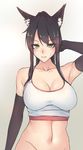  animal_ear_fluff animal_ears arm_behind_head armpits black_gloves black_hair bluefield bottomless breasts brown_eyes cleavage elbow_gloves fox_ears gloves large_breasts long_hair looking_at_viewer original parted_lips solo sweat tank_top upper_body 