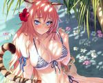  animal_ears bikini blue_eyes blush breasts cleavage comic_toranoana cropped flowers kannatsuki_noboru long_hair navel scan swimsuit tail water 