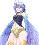  absurdres ahoge blue_hair blue_wings breasts covered_nipples cowboy_shot feathered_wings feathers harpy highres kawasumi_(tk2k_jade) monster_girl monster_musume_no_iru_nichijou navel papi_(monster_musume) short_shorts shorts simple_background small_breasts solo unbuttoned white_background wings yellow_eyes 