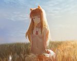  animal_ears breasts ciel_(19940421) cropped horo navel nipples nude spice_and_wolf tail wolfgirl 