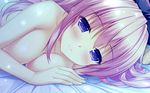  blush boku_to_koisuru_ponkotsu_akuma breasts cleavage game_cg kiritani_riria long_hair pink_hair purple_eyes sayori topless 