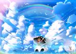 animal bird clouds dress hat original rainbow scenic sky skyt2 umbrella 