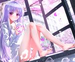 absolute_duo animal barefoot building cherry_blossoms cropped drink fish long_hair petals purple_eyes purple_hair shirt swordsouls yurie_sigtuna 