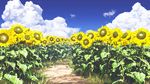  clouds flowers grass ihara_asta nobody original scenic sky sunflower 