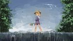  flowers hat koog landscape moriya_suwako scenic skirt touhou tree water waterfall 