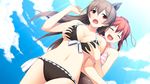  animal_ears bikini blush breast_grab brown_eyes brown_hair ciel_arca game_cg long_hair navel red_hair rosebleu sekai_wo_sukuu_dake_no_kantan_na_oshigoto sky swimsuit yamanashi_akari 