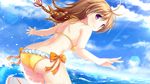  ano_harewataru_sora_yori_takaku bikini braids brown_hair cat_smile chiri_(atlanta) chuablesoft game_cg michibiki_honoka purple_eyes swimsuit water 