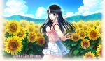  black_eyes black_hair flowers himawari_to_koi_no_kioku kazuharu_kina long_hair seifuku skirt sunflower tsukinoura_ai 