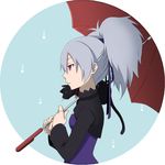  animal bell bell_collar black_cat cat collar darker_than_black dress hair_ribbon kisara04 mao_(darker_than_black) ponytail profile purple_eyes ribbon silver_hair solo umbrella yin 