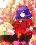  bottle hair_ornament leaf leaf_hair_ornament maple_leaf purple_hair red_eyes saemon_(tonpura) solo touhou yasaka_kanako 