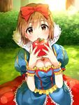  apple bad_id bad_twitter_id bangs bow brown_eyes brown_hair bush cosplay day dress food frilled_dress frills fruit hagiwara_yukiho hair_bow heart heart_necklace high_collar holding holding_food holding_fruit idolmaster idolmaster_(classic) jewelry lace_trim lens_flare looking_at_viewer open_mouth outdoors pendant plant puff_and_slash_sleeves puffy_short_sleeves puffy_sleeves restaint short_hair short_sleeves snow_white snow_white_and_the_seven_dwarfs solo sunlight tree wrist_cuffs 
