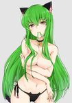  animal_ears blush breasts c.c. cat_ears cat_lingerie code_geass green_hair highres large_breasts long_hair max_melon meme_attire no_bra solo 