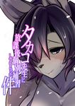  bra buried_frog dog furry japanese purple_eyes purple_hair short_hair translation_request underwear 
