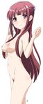  1girl amatsu_kanata blush breasts female from_side girlfriend_(kari) hair_ornament long_hair looking_at_viewer navel nipples nude pubic_hair purple_eyes red_hair signature simple_background smile solo surprised_arms vzmk2 white_background 