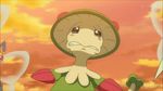  animated animated_gif beedrill breloom hawlucha noibat pokemon pokemon_(anime) 