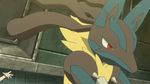  animated animated_gif bone hawlucha lucario mega_lucario pikachu pokemon satoshi_(pokemon) 