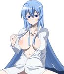  1girl akame_ga_kill! areolae blue_eyes blue_hair blush breasts breasts_outside esdeath female large_breasts long_hair navel nipples open_clothes sitting smile solo very_long_hair 