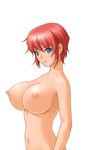  1girl ane_to_boin breasts female hanamaru_anne large_breasts nude sano_toshihide simple_background solo upper_body 