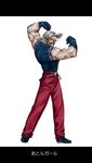  heterochromia male_focus manly omega_rugal pine rugal_bernstein silver_hair solo the_king_of_fighters translated 