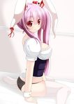  1girl animal_ears artist_request bunny_ears character_request copyright_request indoors pink_hair solo 