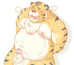  2009 anthro balls belly erection felid male mammal moobs navel nipples overweight overweight_male pantherine penis simple_background solo tachiuo tiger 