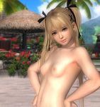  1girl 3d beach blonde_hair cloud dead_or_alive dead_or_alive_5 marie_rose navel nipples nude outdoors photoshop screencap screenshot sky small_breasts solo twintails 