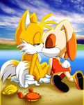  1boy 1girl bbmbbf cream_the_rabbit furry kiss kissing miles_prower miles_tails_prower sega sonic_team sonic_the_hedgehog upskirt 