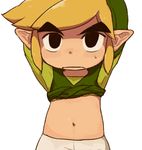  1boy link looking_at_viewer male_focus solo the_legend_of_zelda the_legend_of_zelda:_the_wind_waker toon_link undressing wind_waker 