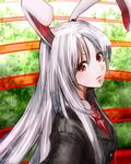  animal_ears bad_id bad_pixiv_id blazer bunny_ears chirigami-san jacket long_hair necktie red_eyes reisen_udongein_inaba silver_hair solo touhou 