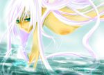  butterfly green_eyes hisuri_rii nude water white_hair 