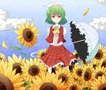  arms_behind_back ascot bad_id bad_pixiv_id cloud day dress field flower flower_field green_hair highres kazami_yuuka kuzugitsune_(inarikami) parasol plaid plaid_skirt plaid_vest red_eyes short_hair skirt skirt_set sky slit_pupils smile solo sunflower touhou umbrella vest 