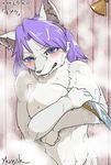  blue_eyes breasts character_request furry legend_of_mana nude purple_hair seiken_densetsu shower translation_request wolf 