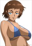  1girl bikini bikini_top breasts brown_hair kugatachi_kaname large_breasts shijou_saikyou_no_deshi_ken&#039;ichi shijou_saikyou_no_deshi_ken'ichi swimsuit 