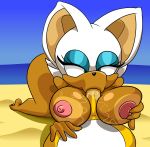  absurd_res big_breasts breasts fellatio female green_eyes hi_res miles_prower oral parumpi rouge_the_bat sex sonic_(series) 