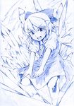  blue blue_background blue_eyes cirno ice monochrome sketch solo touhou vent_arbre wings 