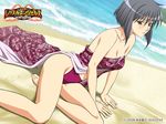  artist_request bare_shoulders beach bikini black_hair brown_eyes day echigo_shinobu short_hair solo swimsuit wrestle_angels wrestle_angels_survivor 