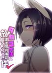  buried_frog dog furry japanese purple_eyes purple_hair short_hair translation_request 