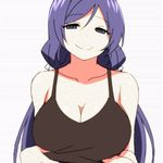  1girl animated animated_gif bare_shoulders breasts female green_eyes incomplete large_breasts long_hair looking_at_viewer love_live!_school_idol_project lowres no_bra purple_hair seductive_smile sky_(freedom) smile solo teasing toujou_nozomi twintails ugoira underboob undressing upper_body 