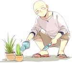  1boy bald cactus doudoude_dou gardening male_focus one-punch_man plant potted_plant saitama_(one-punch_man) sandals solo squatting trowel watering watering_can 