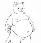  2019 animated anthro balls belly chubby-shark claws digital_media_(artwork) domestic_cat ear_tuft eyes_closed felid feline felis flaccid fur humanoid_hands humanoid_penis jiggle male mammal navel nipples nude overweight overweight_male paws penis simple_background slightly_chubby smile solo standing tuft white_background 
