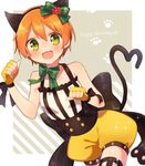  1girl :3 female flower gloves green_eyes happy hoshizora_rin love_live!_school_idol_project orange_hair pochiko ribbon short_hair shorts tail thighhighs 