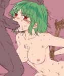  1boy 1girl areolae arms_behind_back bdsm blush bondage bound bound_wrists breasts cum cum_in_mouth green_hair hand_on_another&#039;s_head hetero kazami_yuuka miyo_(ranthath) motion_lines navel nipples nude penis rape red_eyes rope short_hair simple_background sketch sweat touhou uncensored veins veiny_penis 